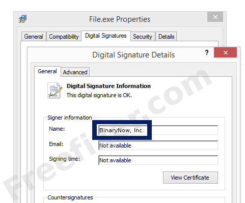 Screenshot of the BinaryNow, Inc. certificate